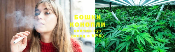 альфа пвп Бородино